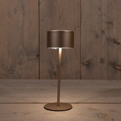 Anna's Collection Oplaadbare Tafellamp Cylinder Warm Wit Dimbaar Inclusief Usb Kabel 22X8Cm Brons