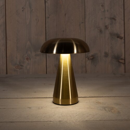 Anna's Collection Oplaadbare Tafellamp Metaal Rond 2500Mah Warm Wit Dimbaar Inclusief Usb Kabel 20.5