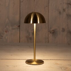 Anna's Collection Oplaadbare Tafellamp Rond Warm Wit Dimbaar Inclusief Usb Kabel 22X9.5Cm Goud
