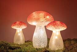 Anna's Collection PADDENSTOEL GLAS LED OP BATTERIJ MET TIMER H15CM ROOD MET WITTE STIPPEN - afbeelding 2