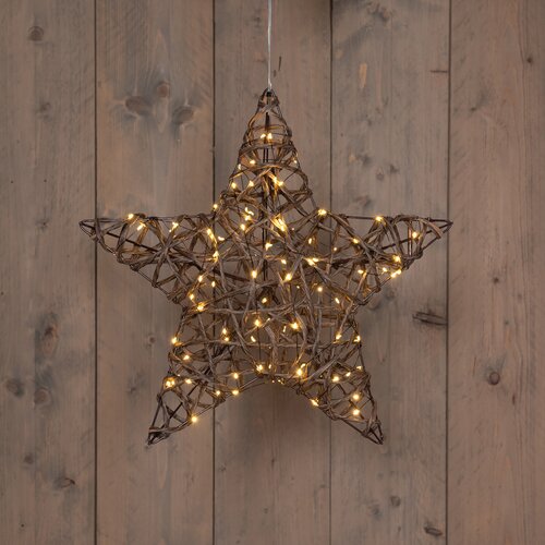 Anna's Collection STER NATUREL 100 LED CLASSIC WARM 40CM / 3XAA ON/OFF/6U TIMER