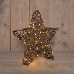 Anna's Collection STER NATUREL 100 LED CLASSIC WARM 40X5CM/ 3XAA ON/OFF/6U TIMER