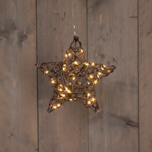 Anna's Collection STER NATUREL 40 LED CLASSIC WARM 20CM / 3XAA ON/OFF/6U TIMER