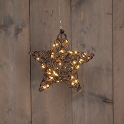 Anna's Collection STER NATUREL 40 LED CLASSIC WARM 20CM / 3XAA ON/OFF/6U TIMER