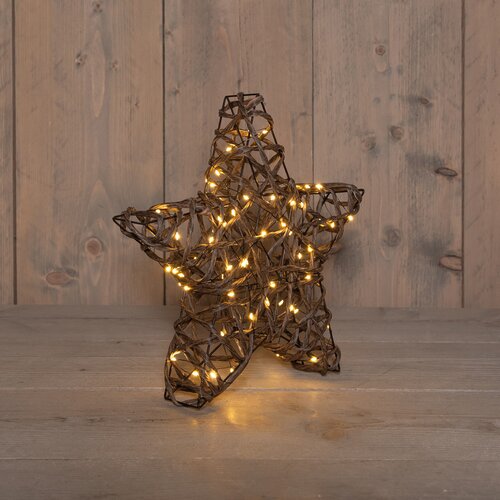 Anna's Collection STER NATUREL 80LED CLASSIC WARM 30X5CM / 3XAA ON/OFF/6U TIMER