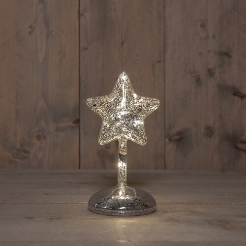 Anna's Collection Ster Op Stam Glas Led Op Batterij Met Timer H20Cm Mercury Zilver