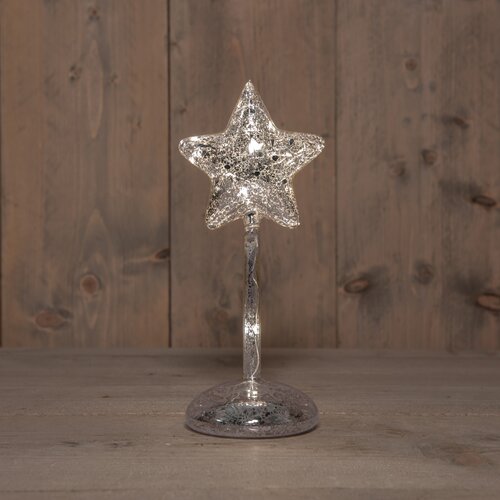 Anna's Collection Ster Op Stam Glas Led Op Batterij Met Timer H25Cm Mercury Zilver