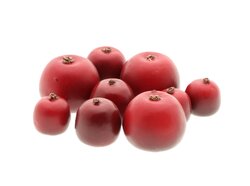 Appel malus rood a3 9st