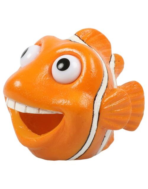 Aqua della Clownvis oranje