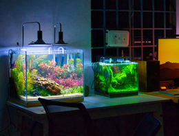 Aquariumtechniek