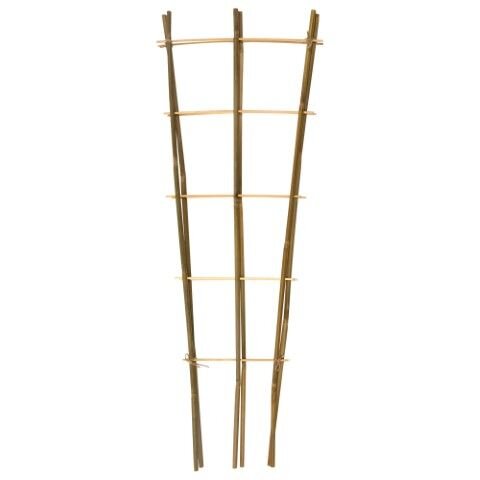 Bamboeplantrekje h90b26cm s2st