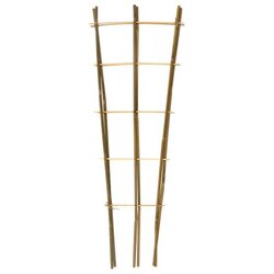 Bamboeplantrekje h90b26cm s2st