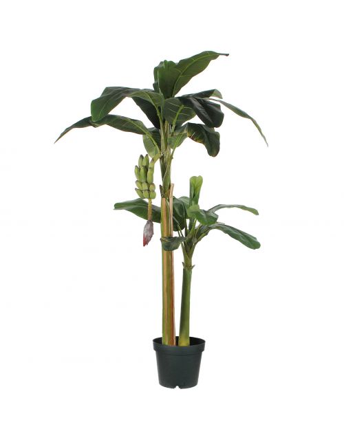 Bananen boom groen in plastic pot - h180xd115cm