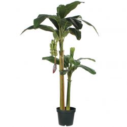 Bananen boom groen in plastic pot - h180xd115cm