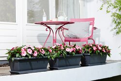 elho barcelona xl 60cm antraciet - afbeelding 2