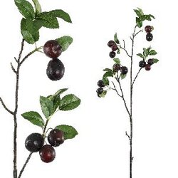 PTMD Berry Plant burgundy botanical plums spray