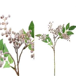 PTMD Berry Plant grey green berry spray with leaves
