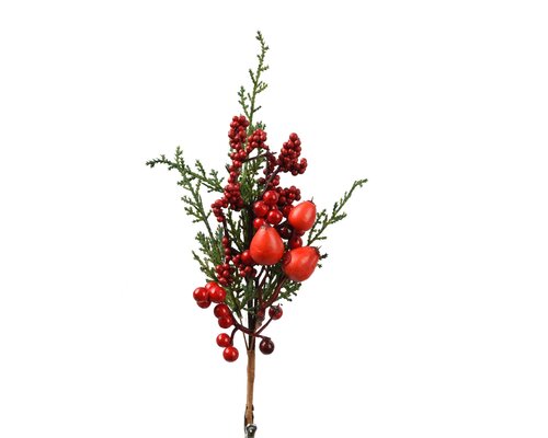 Everlands Big berry clip red berries binnen