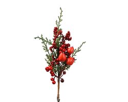 Everlands Big berry clip red berries binnen