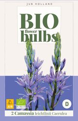 Bio camassia leichtl. caerulea 2st - afbeelding 2