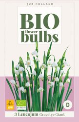 Bio leucojum gravetye giant 3st - afbeelding 1