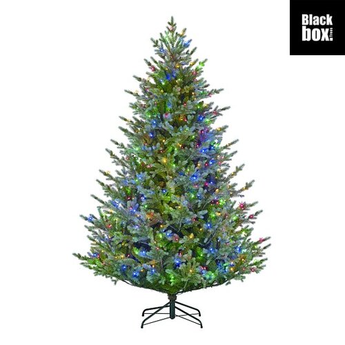 Black Box Trees Ardley kerstboom groen warm wit multicolour 500L TIPS 3432 en timer & dimmer afstand