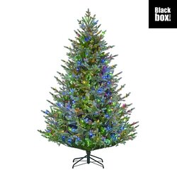 Black Box Trees Ardley kerstboom groen warm wit multicolour 500L TIPS 3432 en timer & dimmer afstand