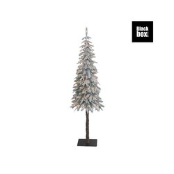Black Box Trees Ardley kerstboom groen warm wit multicolour 500L TIPS 3432 en timer & dimmer afstand - afbeelding 1