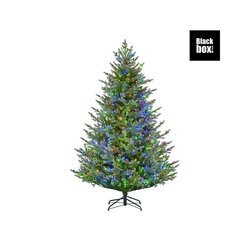 Black Box Trees Ardley kerstboom groen warm wit multicolour 600L TIPS 3992 en timer & dimmer afstand
