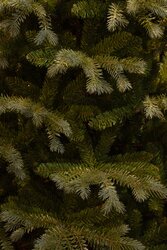 Black Box Trees Ardley kerstboom slim groen TIPS 2175 - h185xd107cm - afbeelding 2