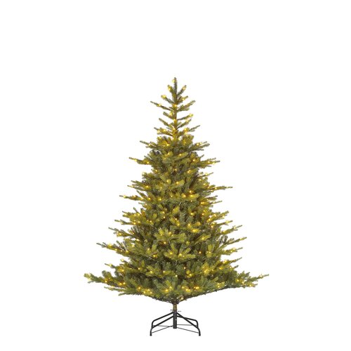 Black box trees Grimshaw kerstboom led groen 260L TIPS 1564 en timer & dimmer - h185xd132cm