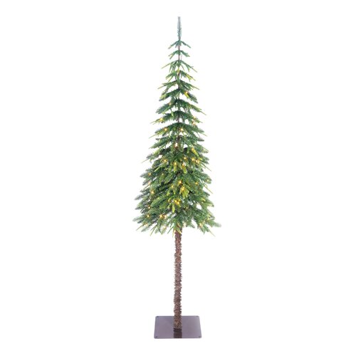 Black Box Trees Lodge kerstboom groen warm wit 150L TIPS 547 en timer & dimmer - h230xd66cm