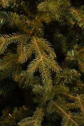 Black Box Trees Meran kerstboom groen Full PE TIPS 3385 - h185xd127cm - afbeelding 3