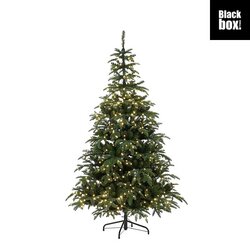 Black Box Trees Picton kerstboom led groen 1000L TIPS 2610 en timer & dimmer - h240xd140cm