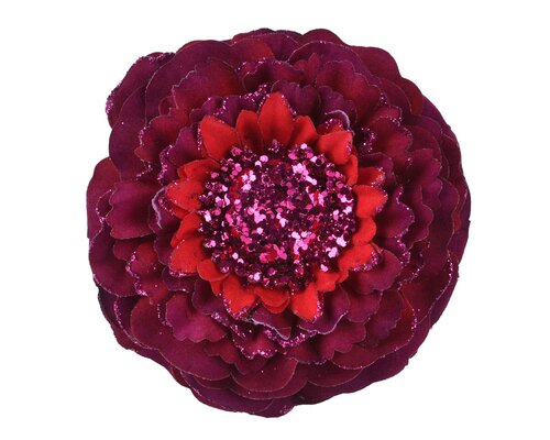 Bloem plc d10h3cm ossenbloed