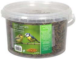 BOON BLACK SOLDIER FLIES LARVEN 4-SEIZ.2.5LTR