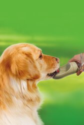 BOON DRINKFLES TRAVEL + DRAAGKOORD 450ML