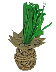 BOON KNAAG ANANAS ZEEGRAS 20CM