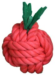 BOON KNAAG SPEELG. KNOOPBAL FRUITIG ROOD 8CM