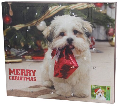 Boony Adventkalander voor honden 192g