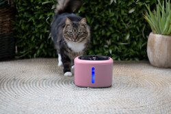 BOONY DRINKFONTEIN AQUABELLA PINK 2,5 LITER