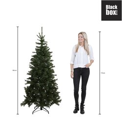 Black Box Trees Brampton kerstboom slim groen TIPS 1295 - h185xd114cm - afbeelding 3