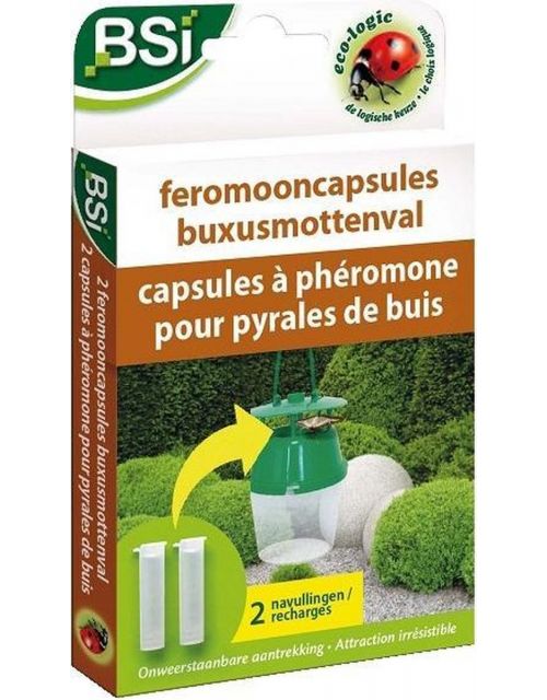 BSI Feromooncaps buxusmottenval