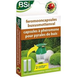 BSI Feromooncaps buxusmottenval