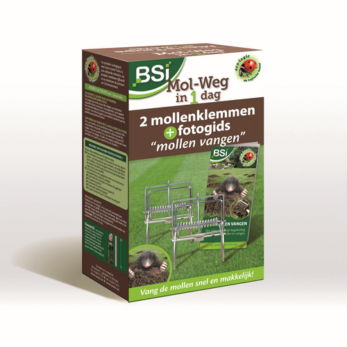 BSI Mol weg in 1 dag