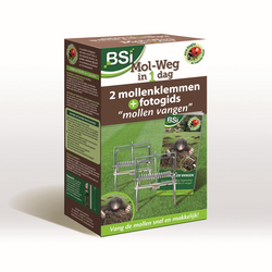 BSI Mol weg in 1 dag