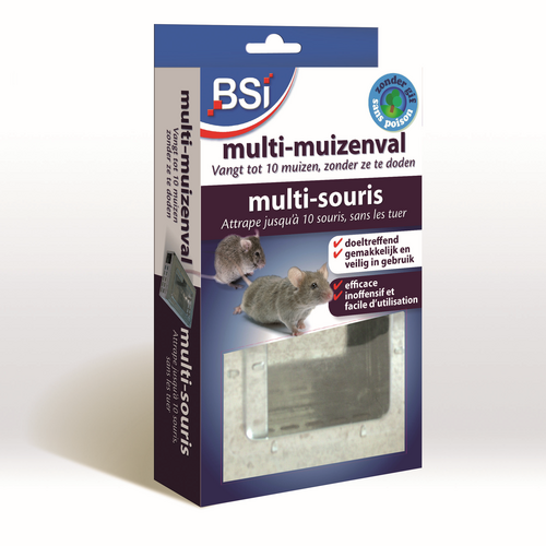 BSI Multi muizenval