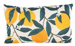 Buitenkussen 50x30cm citroen