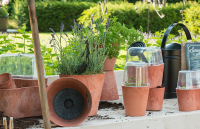 Buitenpotten & Manden