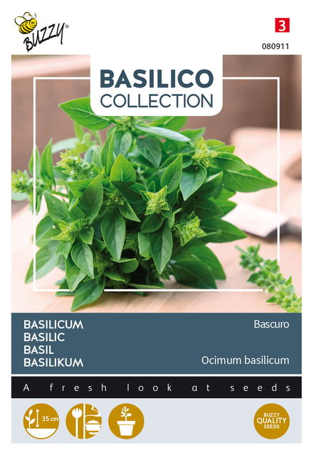 Buzzy® Basilicum Bascuro - afbeelding 1